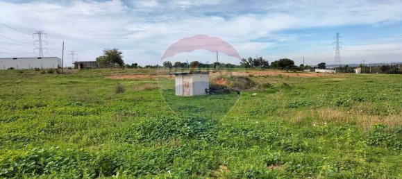 Grundstück in Palmela, Portugal 44000m², Nr. 81506 8