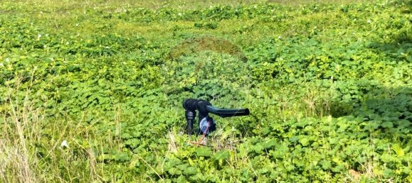 Grundstück in Palmela, Portugal 44000m², Nr. 81506 26