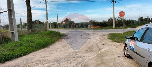 Grundstück in Palmela, Portugal 44000m², Nr. 81506 24