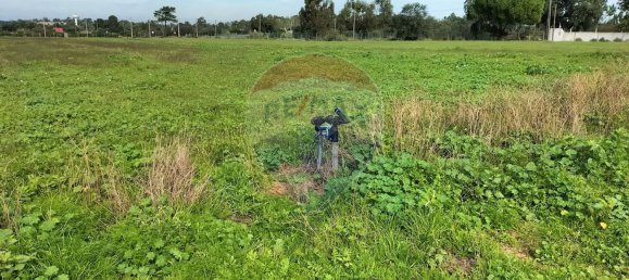 Grundstück in Palmela, Portugal 44000m², Nr. 81506 9