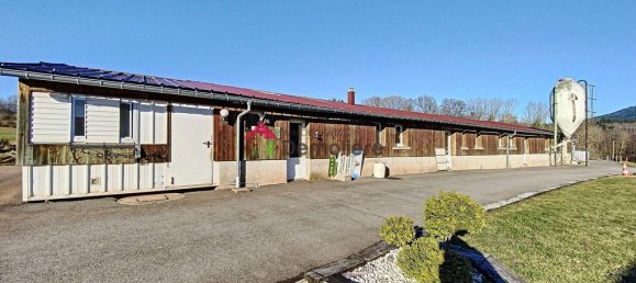 8 bedrooms House in Vosges, France No. 89333 14