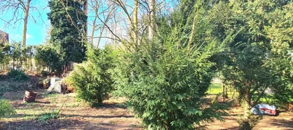 Bungalow T2 em Oberhavel, Germany N.º 233672 4