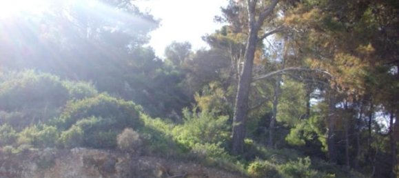 Hotel em Zakynthos, Greece N.º 451 3