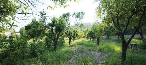 Villa 5+5 in Goeynuk, Turkey No. 13758 8