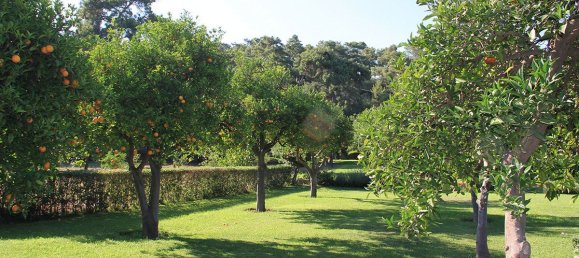 Villa 5+5 in Goeynuk, Turkey No. 13758 5