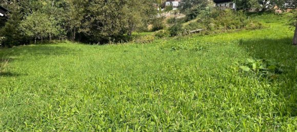  Land in Jochberg, Austria No. 25512 2