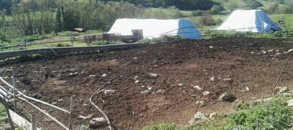 860m² Land in Segni, Italy No. 297086 2