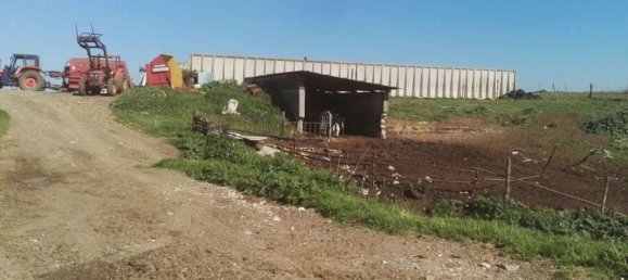 860m² Land in Segni, Italy No. 297086 6