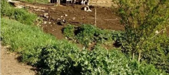 860m² Land in Segni, Italy No. 297086 5