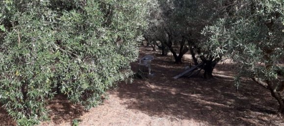 Terreno em Capoterra, Italy 3634 m² N.º 284741 3