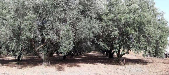 Terreno em Capoterra, Italy 3634 m² N.º 284741 4