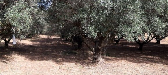 Terreno em Capoterra, Italy 3634 m² N.º 284741 6