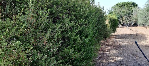 Terreno em Capoterra, Italy 3634 m² N.º 284741 7