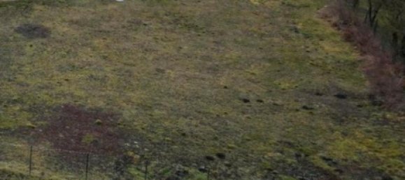  Land in Markisch-Oderland, Germany No. 274430 6