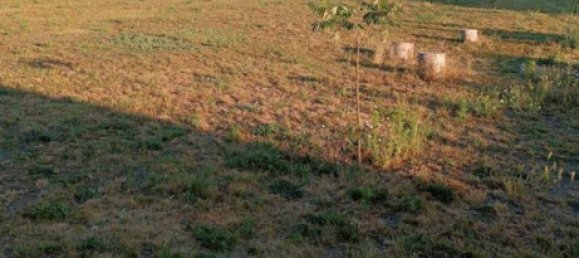  Land in Markisch-Oderland, Germany No. 274430 3