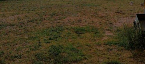  Land in Markisch-Oderland, Germany No. 274430 4