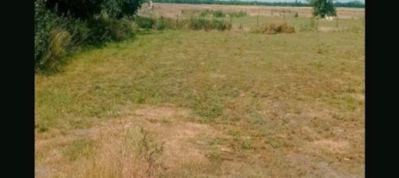  Land in Markisch-Oderland, Germany No. 274430 2