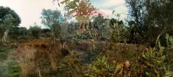 3 غرف نوم منزل في Seia, Portugal رقم 184384 10