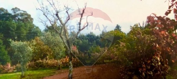 3 غرف نوم منزل في Seia, Portugal رقم 184384 18