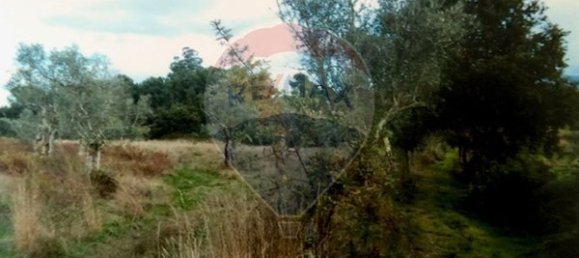 3 غرف نوم منزل في Seia, Portugal رقم 184384 39