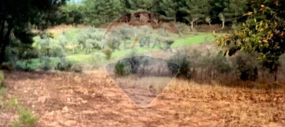 3 غرف نوم منزل في Seia, Portugal رقم 184384 25