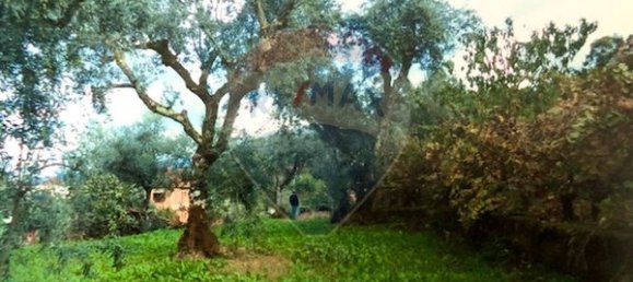 3 غرف نوم منزل في Seia, Portugal رقم 184384 40