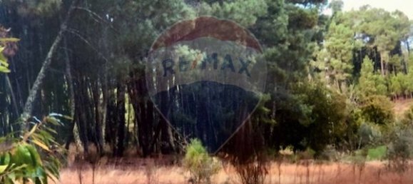 3 غرف نوم منزل في Seia, Portugal رقم 184384 26