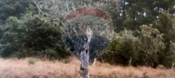 3 غرف نوم منزل في Seia, Portugal رقم 184384 12