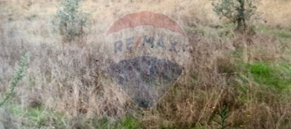 3 غرف نوم منزل في Seia, Portugal رقم 184384 7