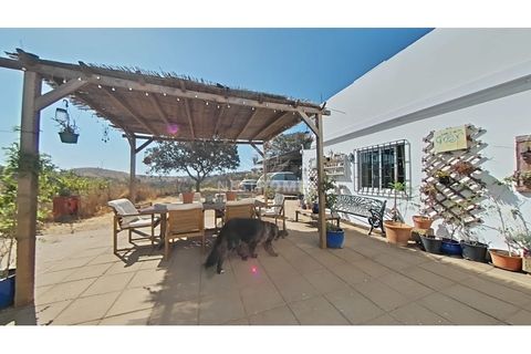 3 chambres Maison à Almodovar, Portugal No. 298599