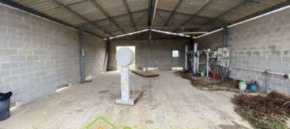  مستودع في Tarquinia, Italy 1300متر مربع رقم 358935 11