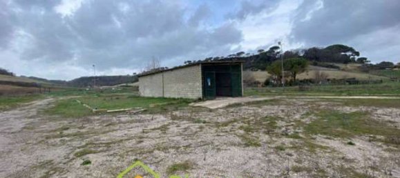  مستودع في Tarquinia, Italy 1300متر مربع رقم 358935 15