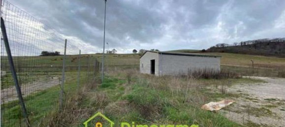  مستودع في Tarquinia, Italy 1300متر مربع رقم 358935 5