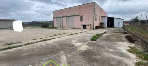  مستودع في Tarquinia, Italy 1300متر مربع رقم 358935 7