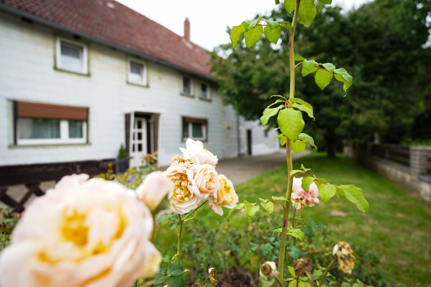 11 rooms House in Braunschweig, Germany No. 28534