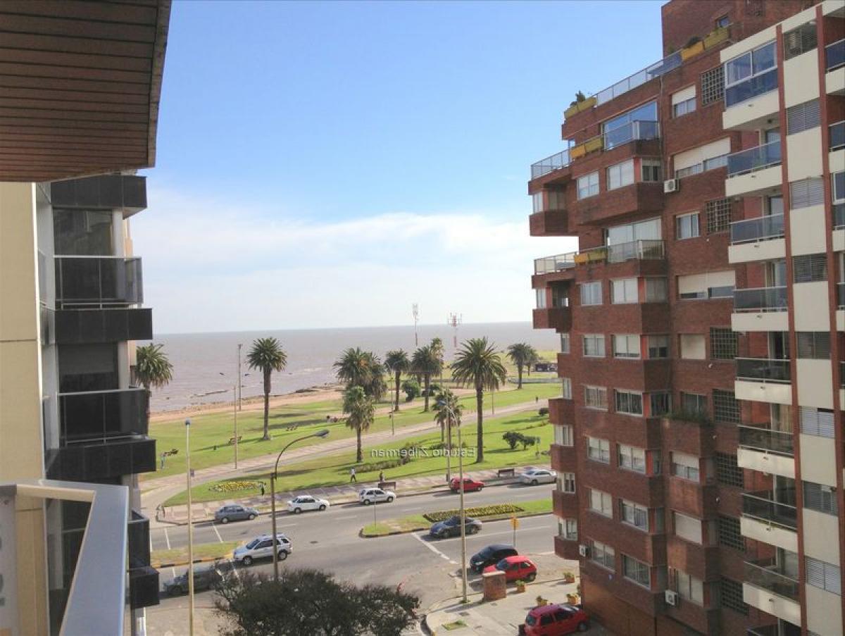 Квартира с 3 спальнями в Монтевидео, Уругвай № 12867