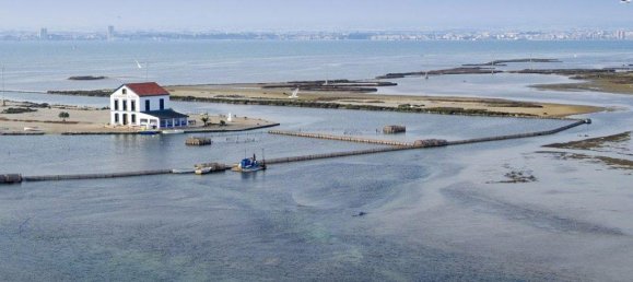 2 bedrooms Apartment in San Pedro del Pinatar, Spain No. 12705 9