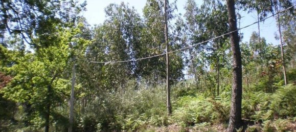 Terreno em Lousada, Portugal 6688 m² N.º 62056 3