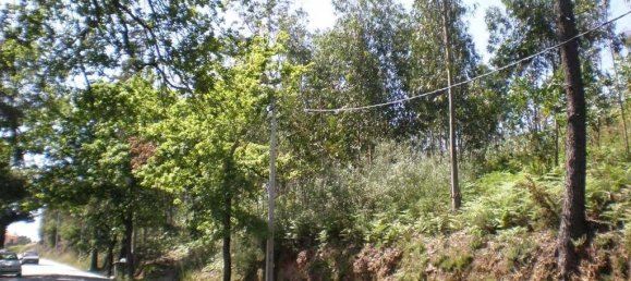 Terreno em Lousada, Portugal 6688 m² N.º 62056 4