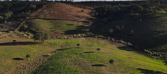 4 غرف نوم منزل في Serpa, Portugal رقم 71926 22