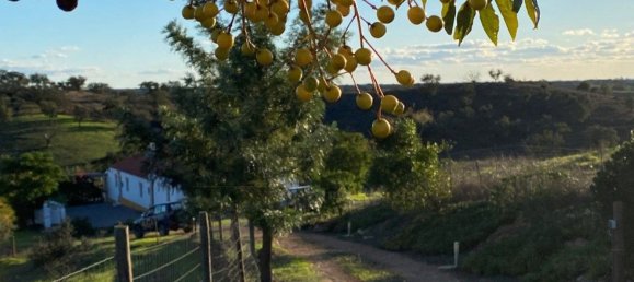 4 غرف نوم منزل في Serpa, Portugal رقم 71926 7