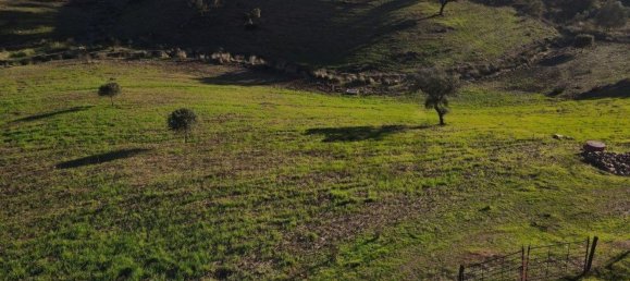 4 غرف نوم منزل في Serpa, Portugal رقم 71926 20