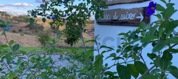 4 غرف نوم منزل في Serpa, Portugal رقم 71926 24