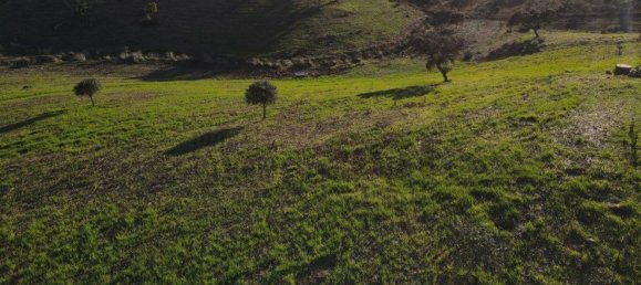 4 غرف نوم منزل في Serpa, Portugal رقم 71926 21