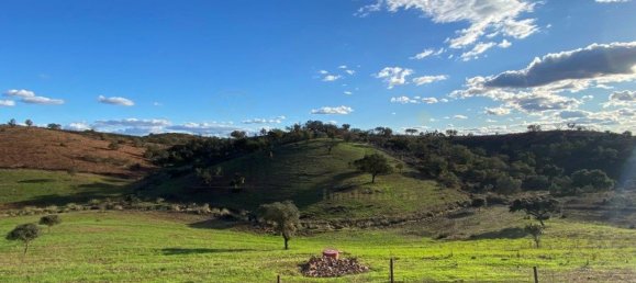 4 غرف نوم منزل في Serpa, Portugal رقم 71926 31