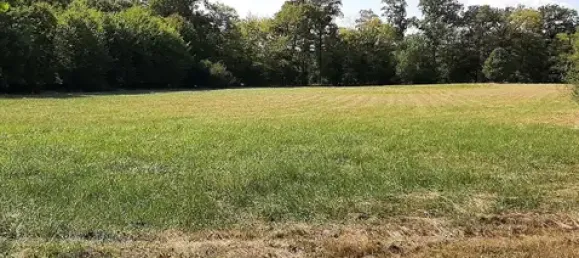 Land in Nienburg, Germany No. 143541 3