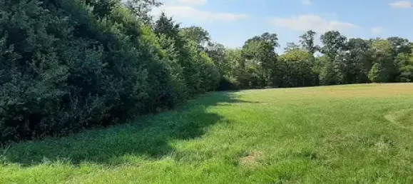 Land in Nienburg, Germany No. 143541 4