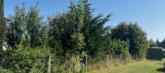 Terreno en Oder-Spree, Germany No. 82243 2