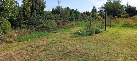 Terreno en Oder-Spree, Germany No. 82243 5