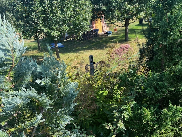 Terreno en Oder-Spree, Germany No. 82243